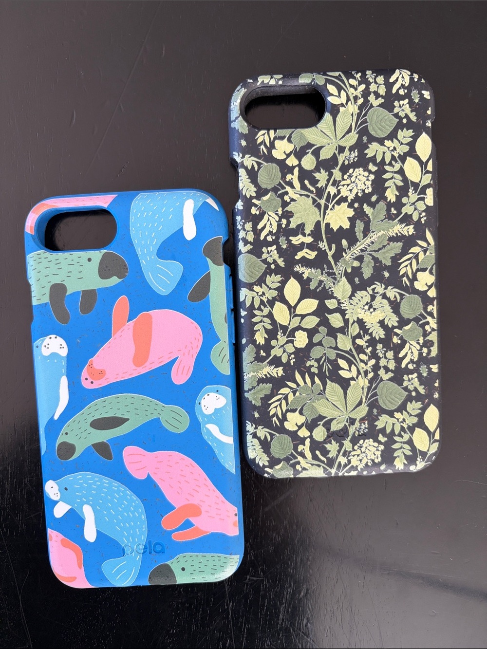 Pela case set of 2